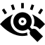 vision 1